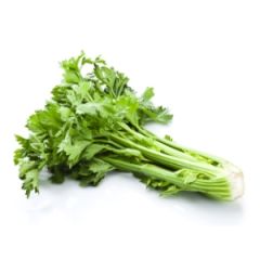 Celeri