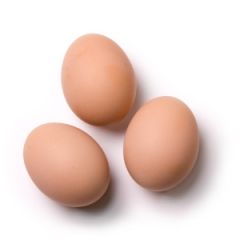 Oeuf