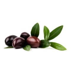 Olive Noire