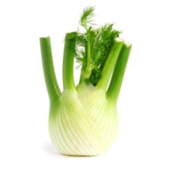 Fenouil