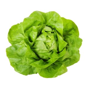 Salade Verte